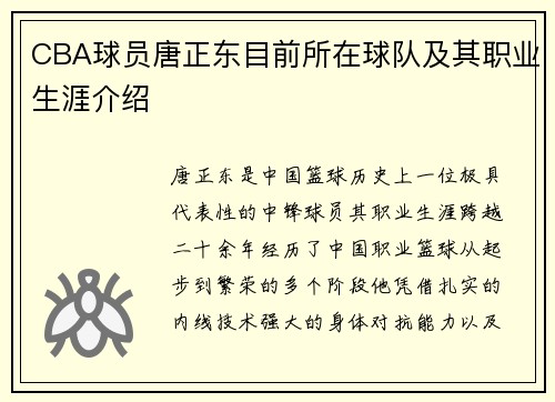CBA球员唐正东目前所在球队及其职业生涯介绍