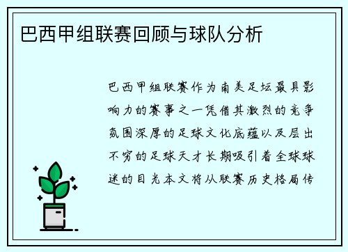 巴西甲组联赛回顾与球队分析