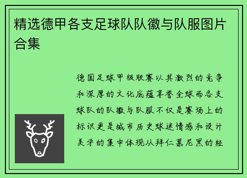 精选德甲各支足球队队徽与队服图片合集